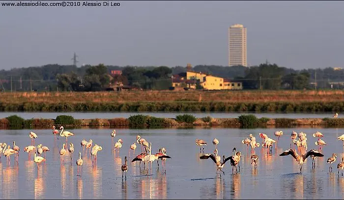 Appartement Casa Liana