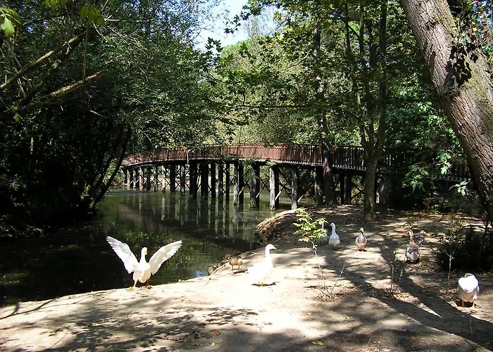 Casa Liana Appartement *