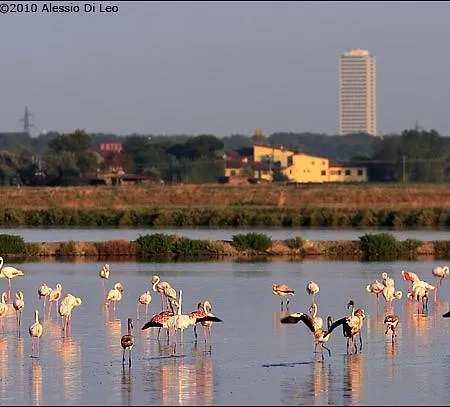 アパート Casa Liana